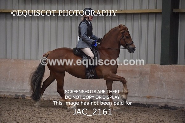 JAC_2161 - CLASS 1 Nursery Novice Working Hunter