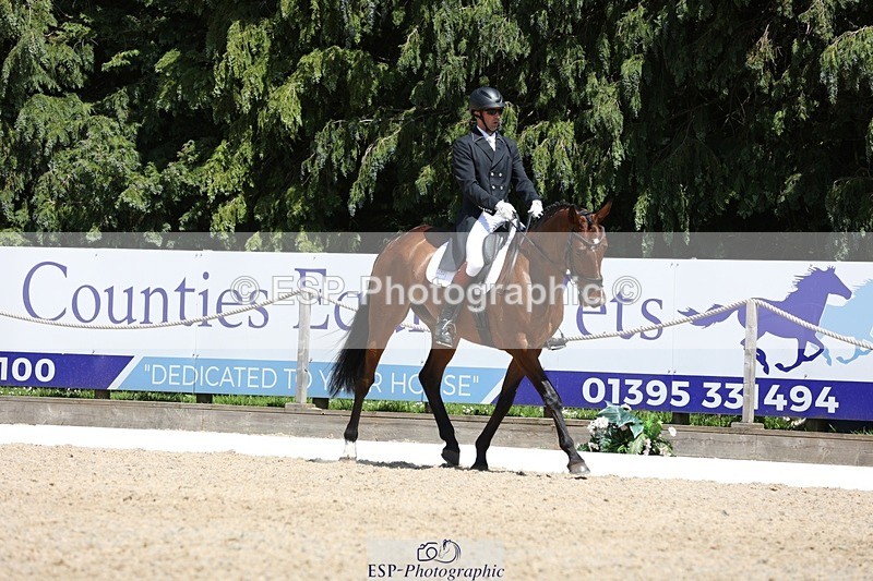 230526-140806-06457 - 371-JERPOINT_ECLIPSE-Max_Gordon-WEDTrotUp+DR
