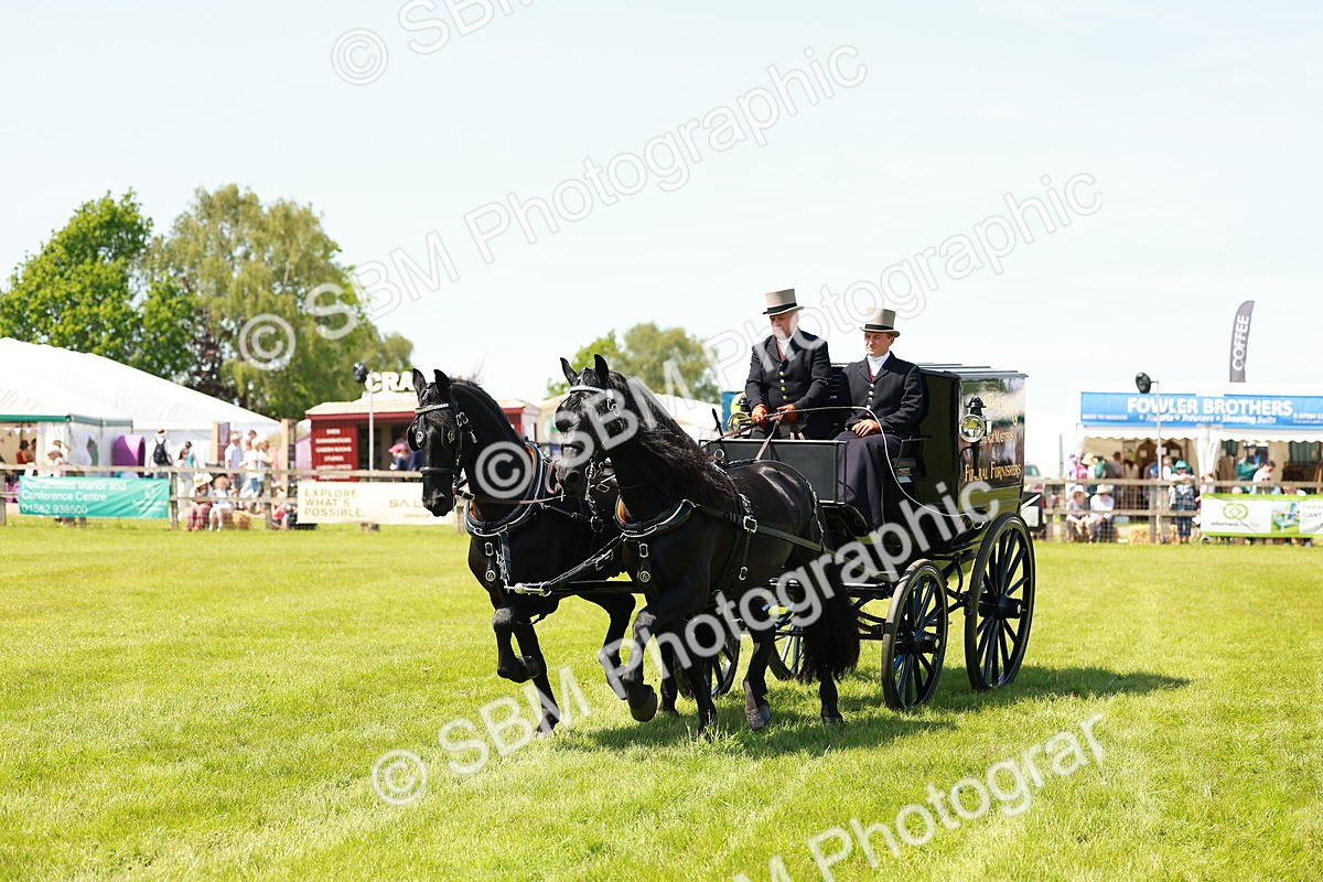 SBM_06675