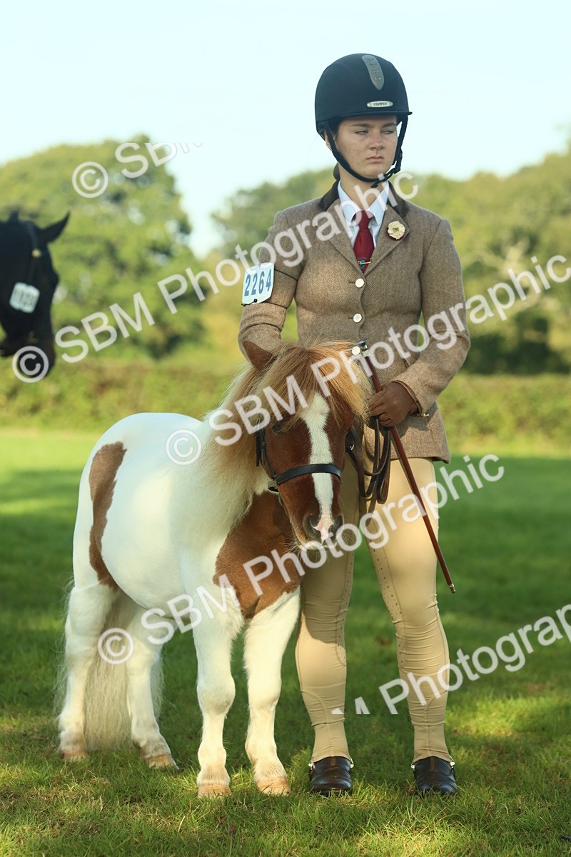 SBM_58587 - S37 - Starters In Hand Showing