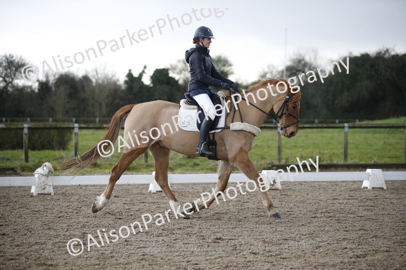 20260127-0417 - Class 17 - BD Novice 3