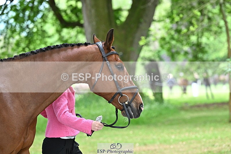 250521A-143901-00145 - A-013-Marianna.Sawyer-KINGSTON