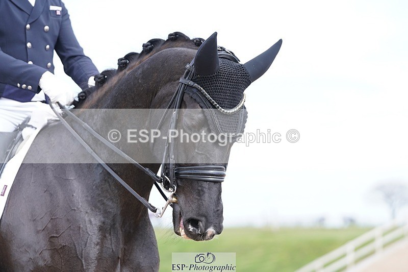 250403-141132-02873 - 022-Jezz.Palmer-Romanno.Weltino