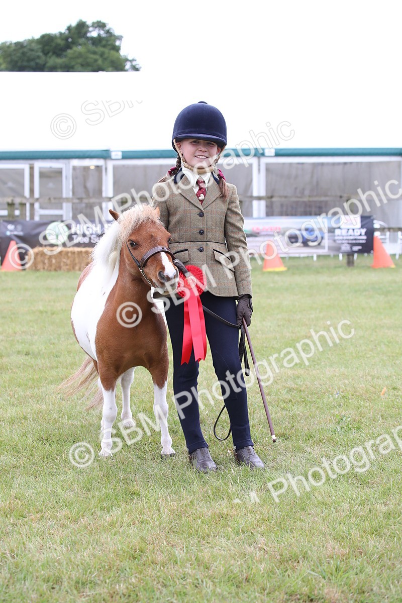SBM_04011 - Class 23-25 - British Miniature Horse of the Year