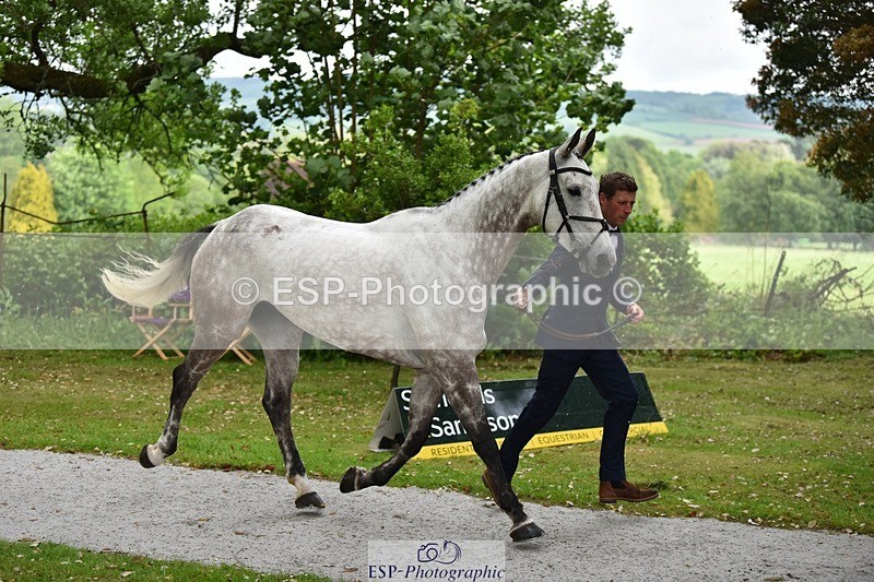 240522-150752-00109 - 369-STARMAN_III-Matthew_Hecking