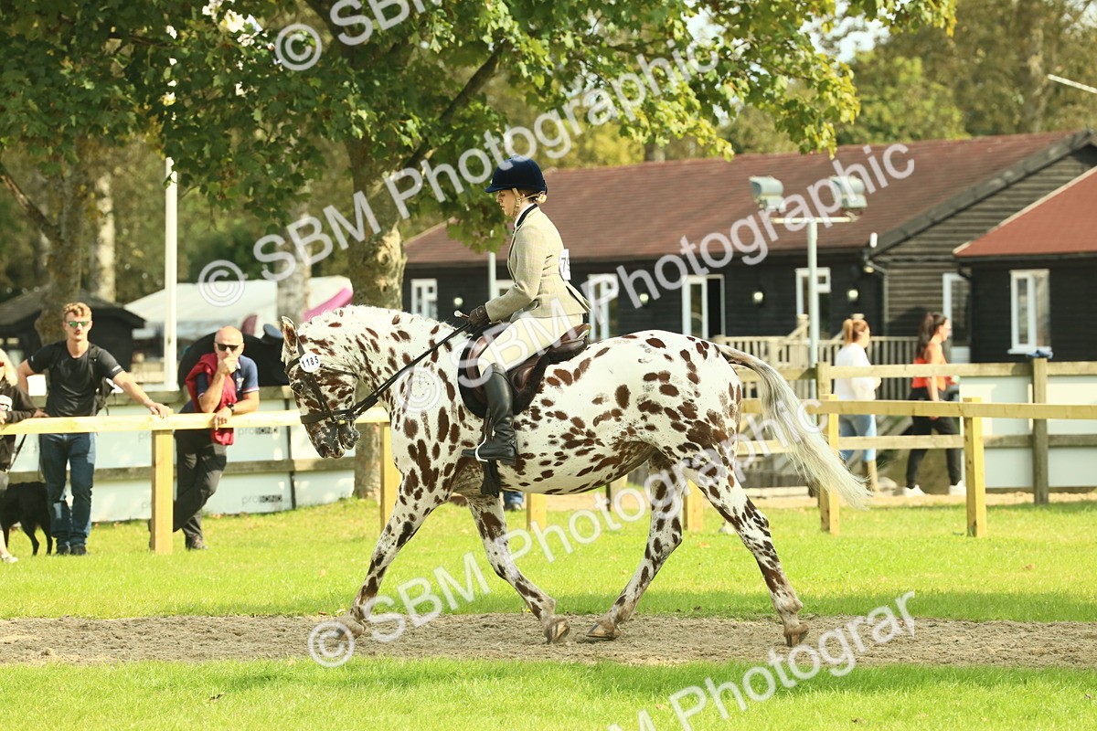 SBM_62480 - S62 - Foreign Breeds Ridden