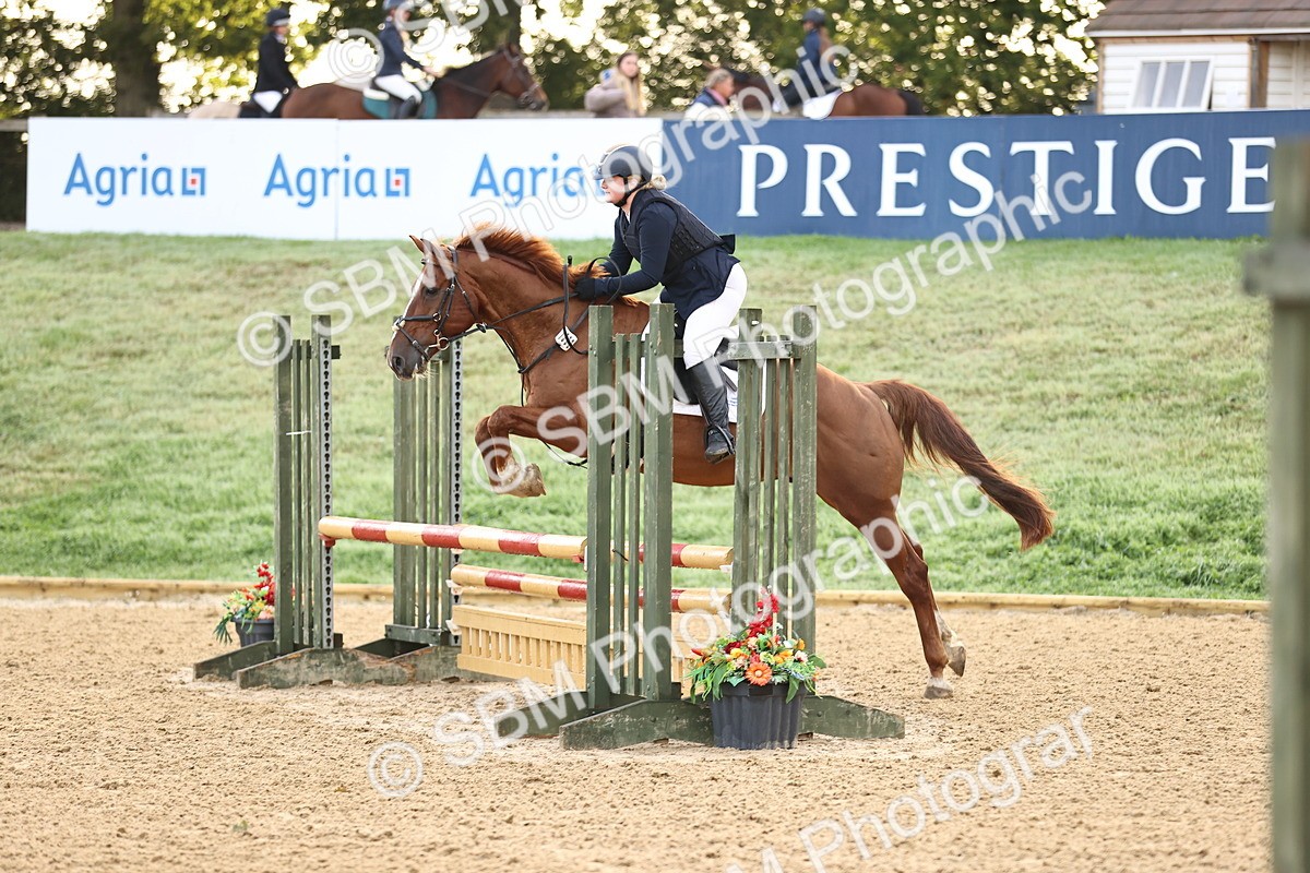 SBM_55055 - J62 - Clear Round 90cm