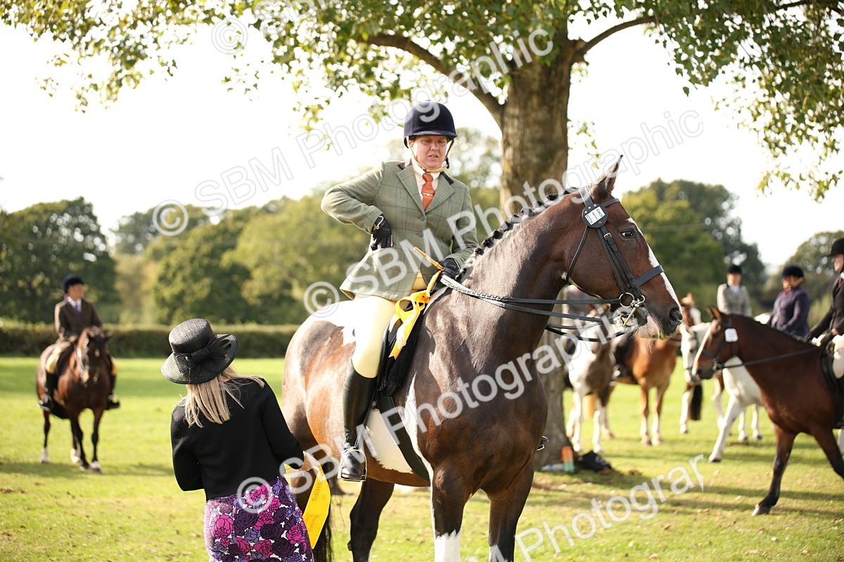 SBM_50241 - S26 - Young Veteran - Ridden