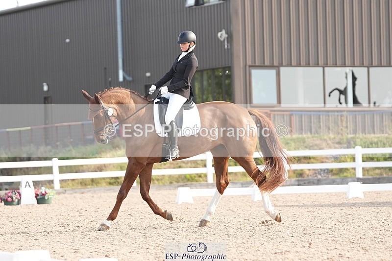 250817-090447-07085 - 121-Daisy.HedgesFelicia.v