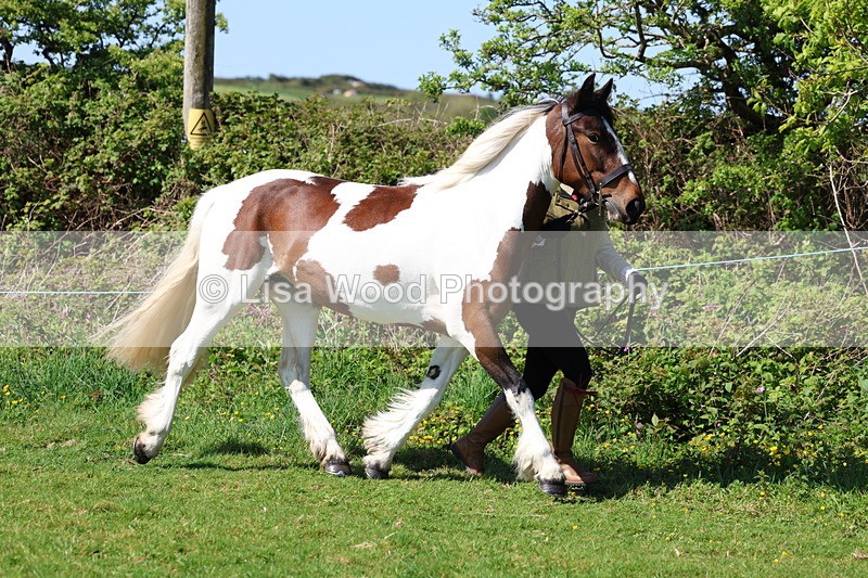 3E7A9357 - Class 16: Best Grass Kept