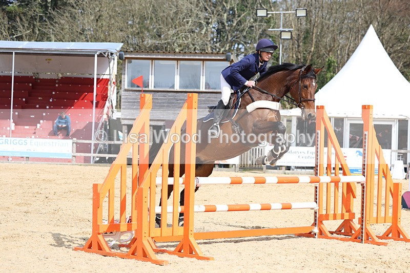 3E7A6743 - Class 4: Senior British Novice/90cm open