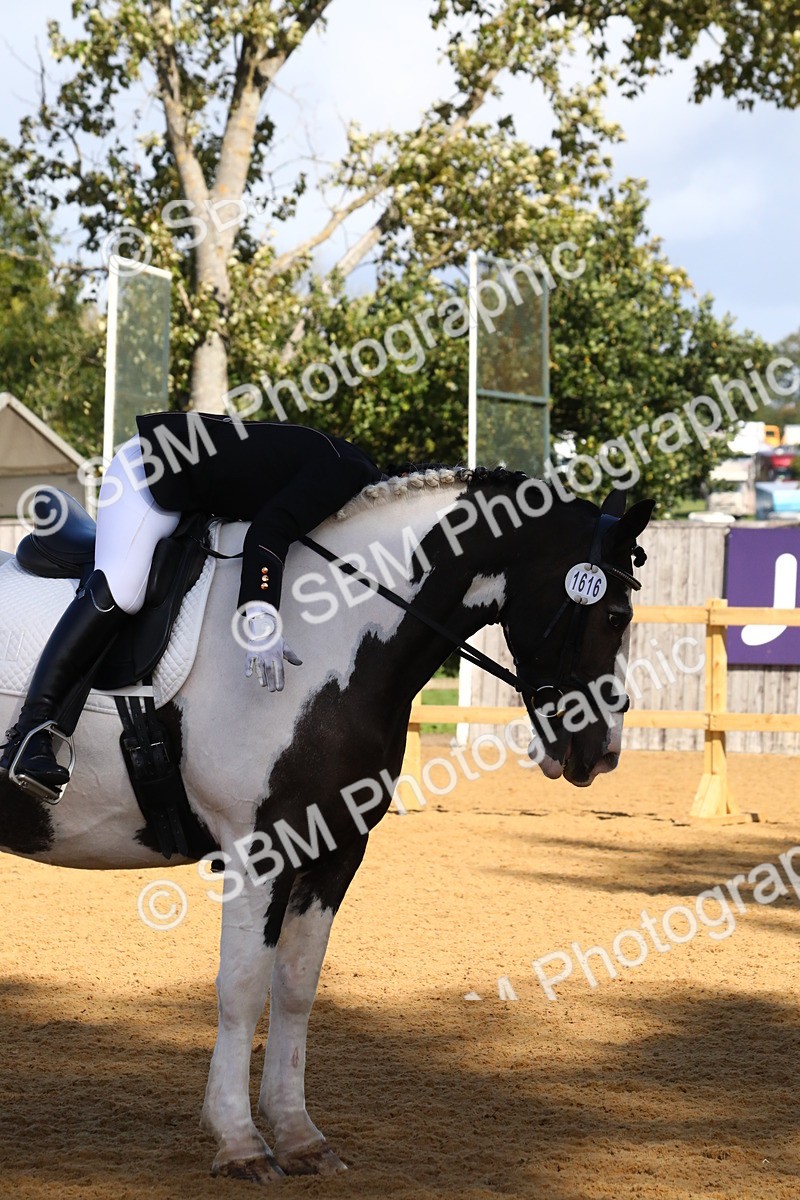 SBM_18344 - D31 - Grand Tour PYO Open .