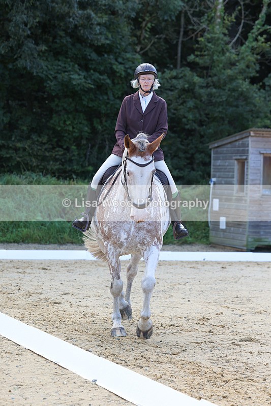 3E7A2372 - Class 1: Intro 4 2024 section A