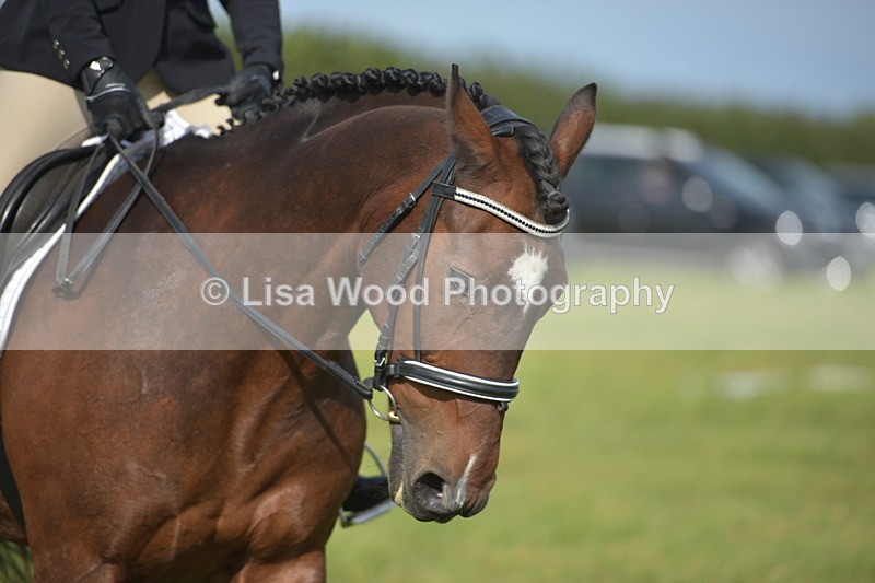 RAY_7737 - Class 2B: Trekenning Open: Dressage