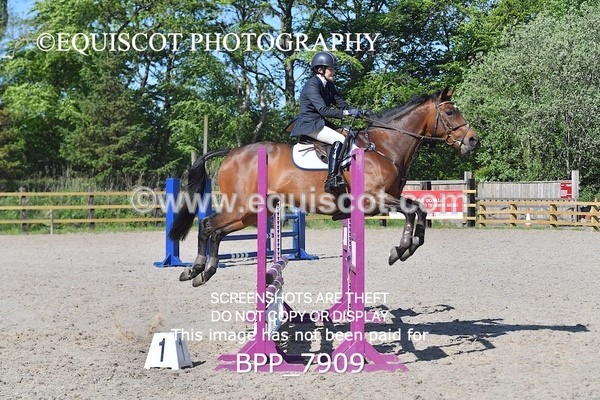 BPP_7909 - CLASS 1 - CLEAR ROUNDS