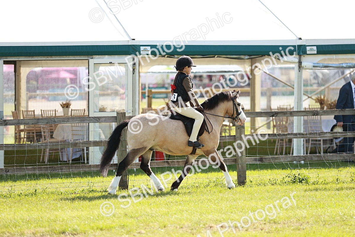 SBM_12574 - Class 106-107 - BSPS LIHS Working Sports Pony