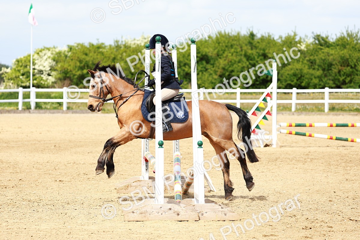 SBM_007862 - Class 3 - 60cm