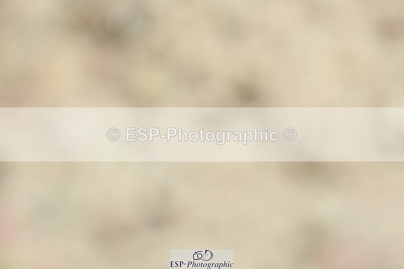 230630A-100639-00022 - Cls 6 Music Novice