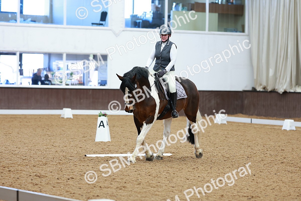 SBM_002884 - Class 14 - Novice 2