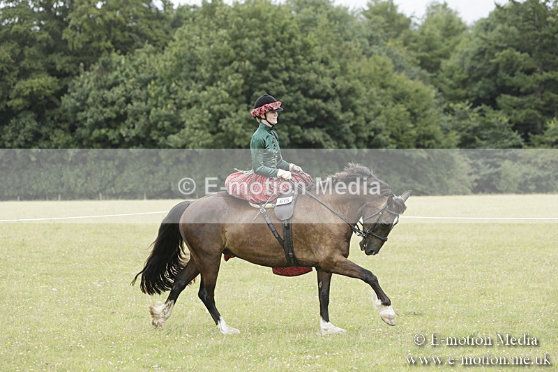 BVR160717-2427 - Side Saddle Classes 16/07/17