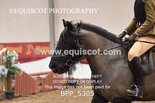 BPP_5305 - CLASS 6 60CM