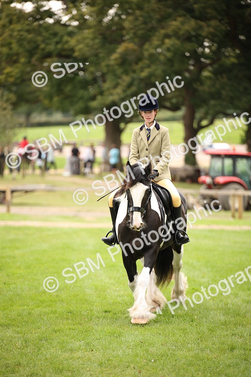 SBM_73513 - S68 - Traditional Cob Ridden