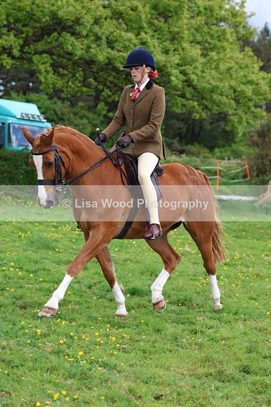 3E7A2103 - Class 11: Ridden Arab