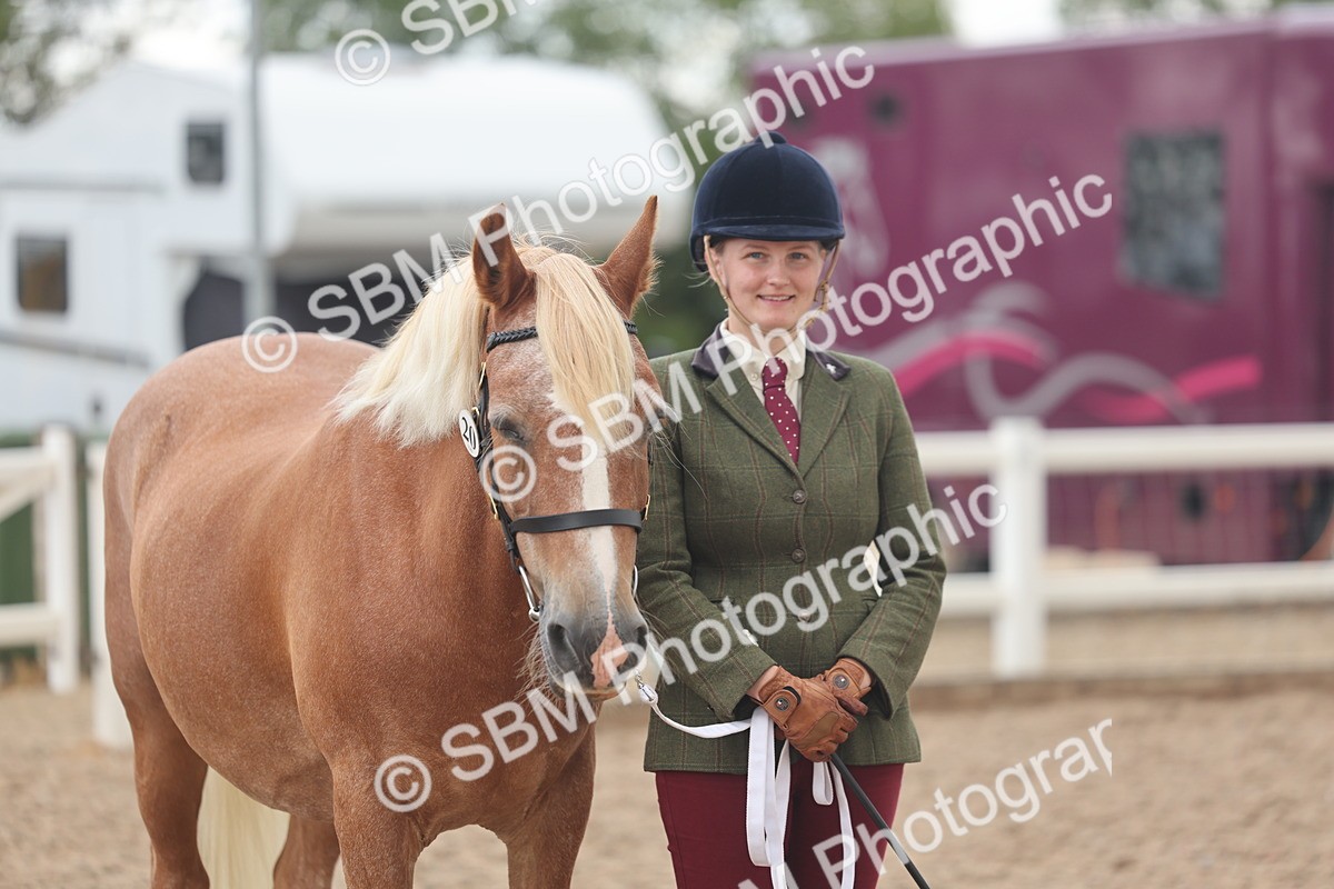 SBM_03271 - Class 16 - IH M&M Wildcard