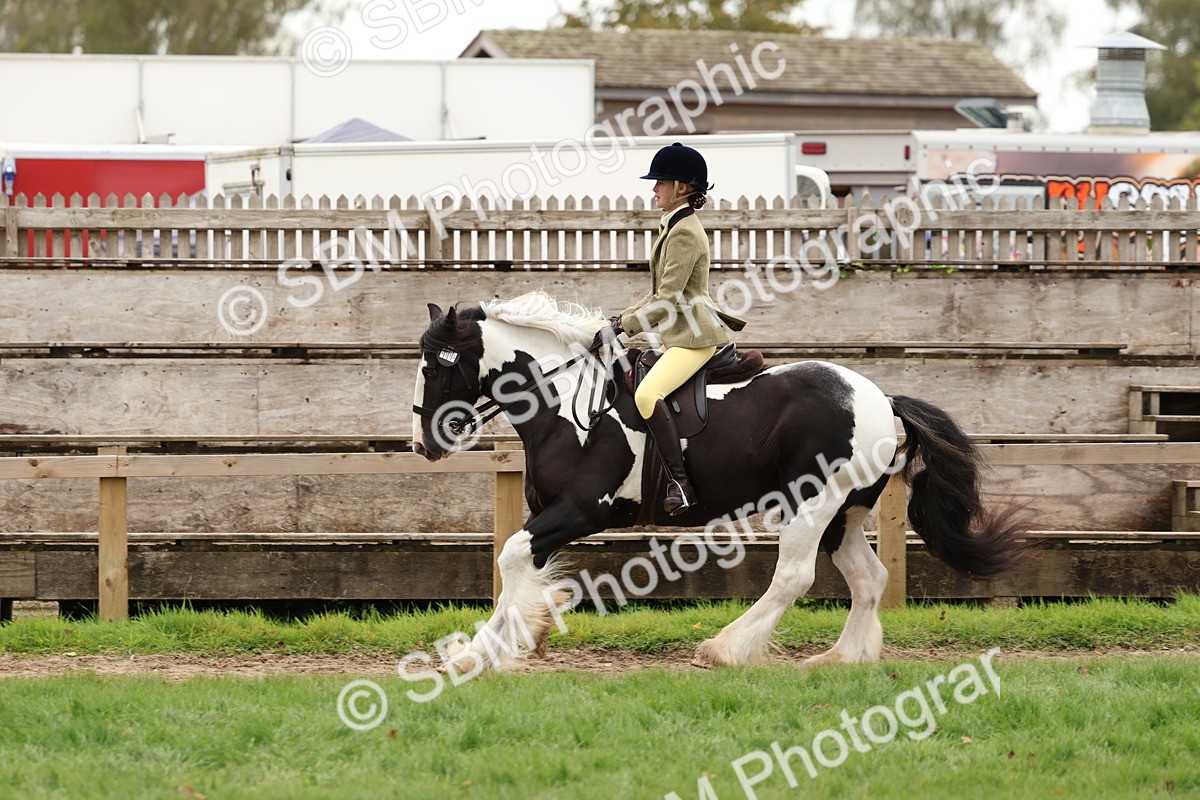 SBM_64506 - S58 - Coloured Pony Ridden
