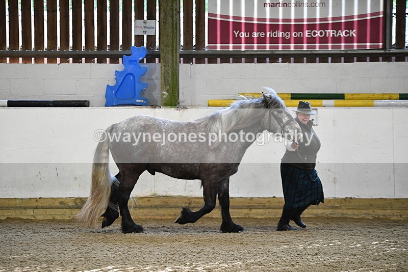 WJ5_3473 - Class 1 Youngstock