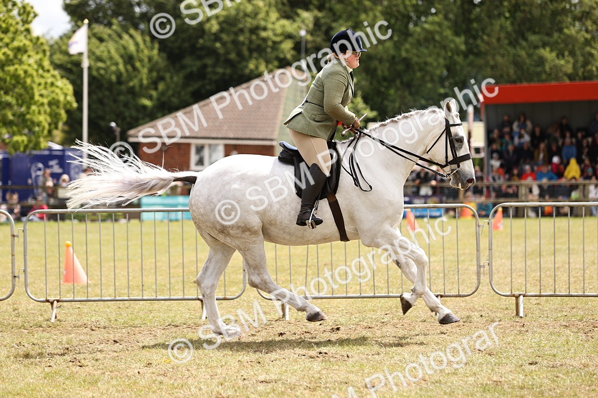 SBM_14808 - Class 88-89 - LIHS BSHA Rising Star of Ridden Hunter Type