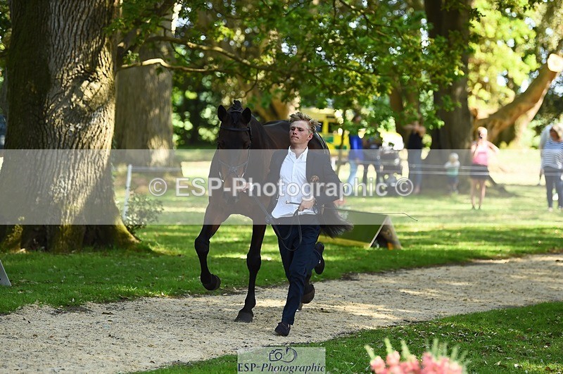 230524-161640-00807 - 262-TREAMBLE-Finn_Healy-WEDTrotUp+DR