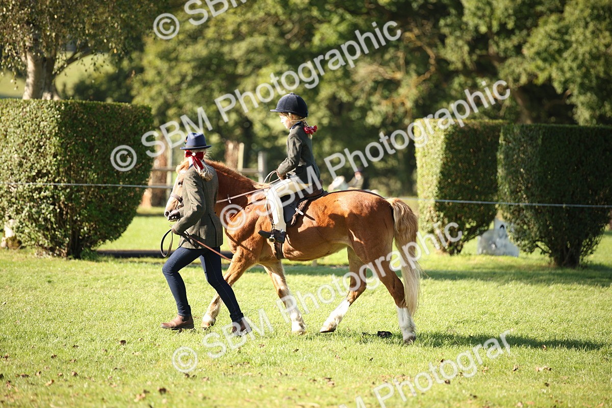 SBM_35708 - S9 - Lead Rein Equitation