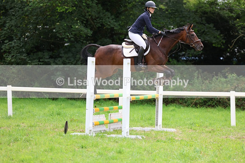 3E7A7280 - Class 5: Senior British Novice/90cm open