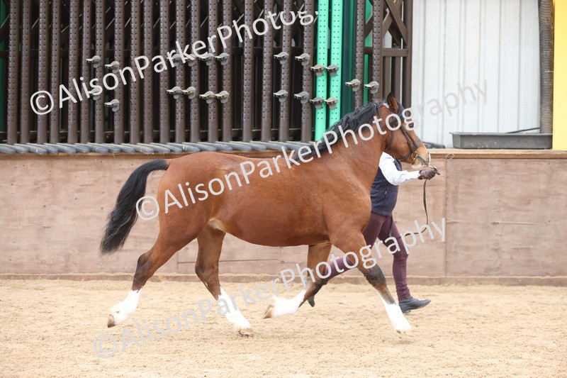 20251109-0901 - Class 26 - 2 and 4 Year Olds