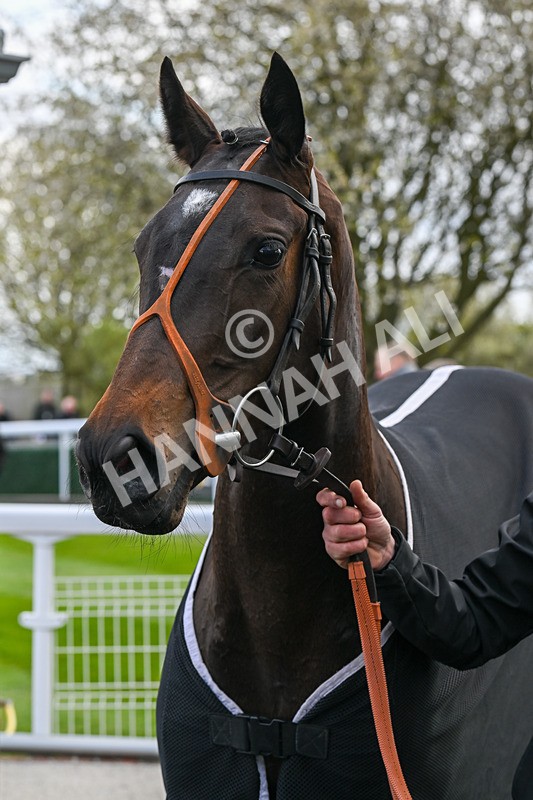 250424-Race 1-Jayvee-8988 - Race 1