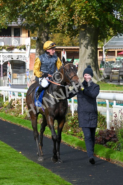 121024-Race 1-Jungle Drums-2637 - Race 1 1.30pm Coral Rockingham Stakes