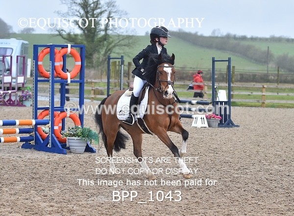 BPP_1043 - CLASS 1 Club/ Unaffiliated 60cms Open