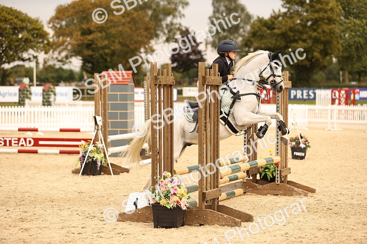 SBM_74400 - J14 - Junior Pony 65cm Championship