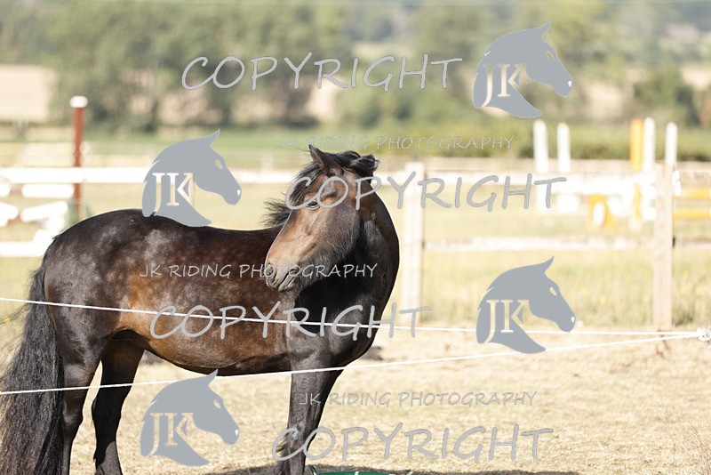 _R6A0765 - GENERAL PHOTOS