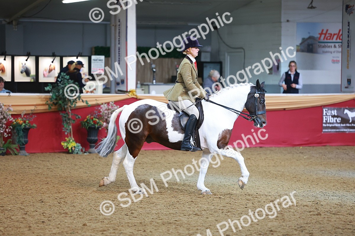 SBM_09459 - Class 102 - HOYS Veteran Qualifier - Ridden Veteran