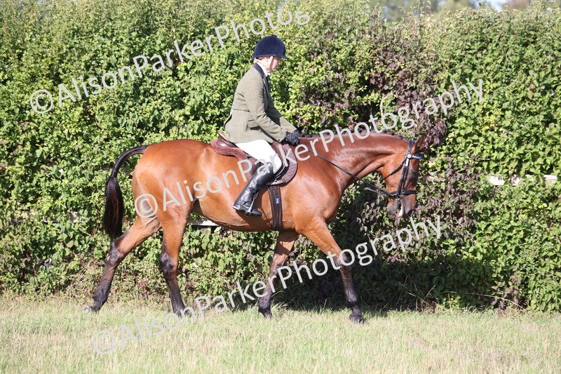 20260906-0369 - Class 14 - Ex Racehorse