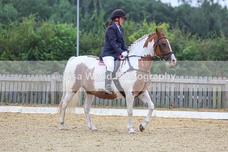 3E7A4785 - Class 1: Intro 4 2024 section A