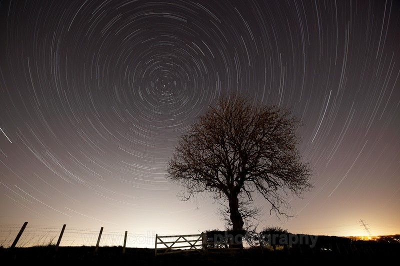 Star Trail Tree. West Cornforth near Durham.   ref 2238b - County Durham