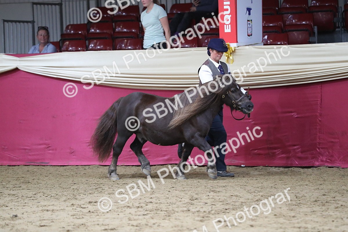 SBM_05003 - Class 8R- Regional -IH Veteran