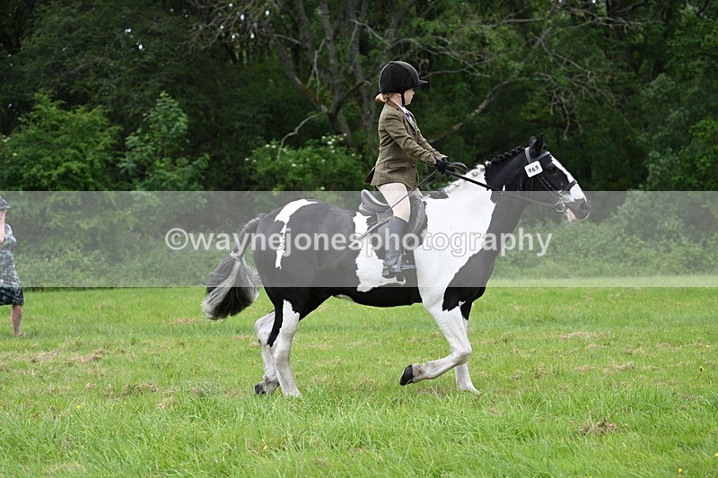 WJ7_2089 - Class 12A Coloured Class