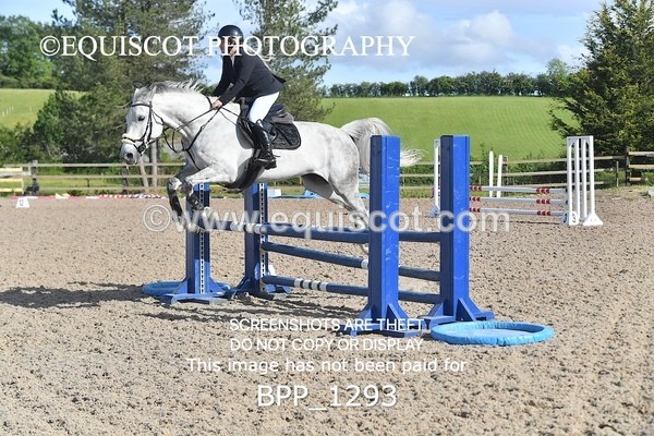BPP_1293 - CLASS 2 Club/ Unaffiliated 80cms Open