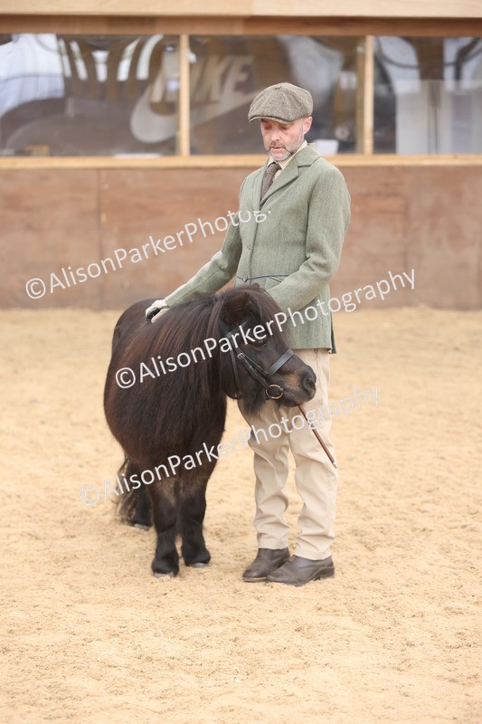 20251109-0307 - Class 13 - Mares 4 Years and Over