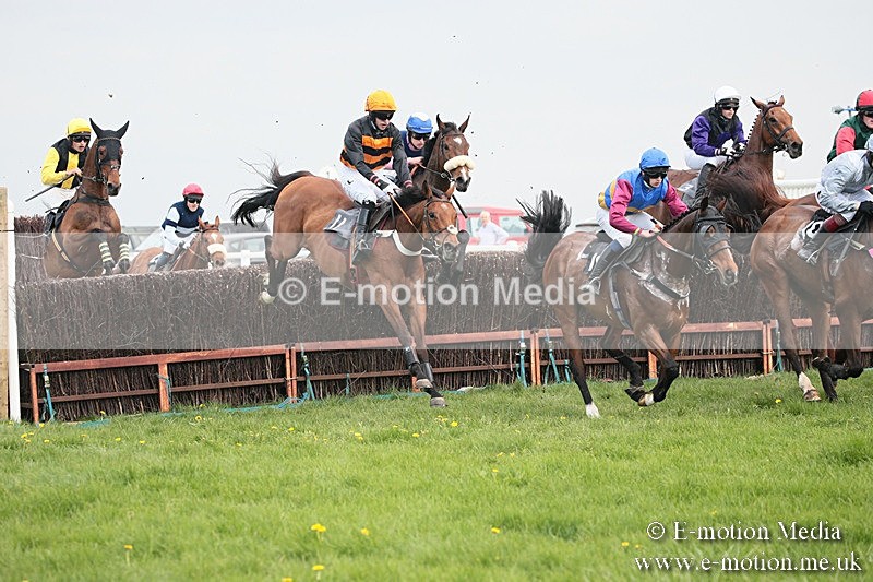 PtP 210418 338 - South & West Wilts Point-to-Point Larkhill 21/04/18