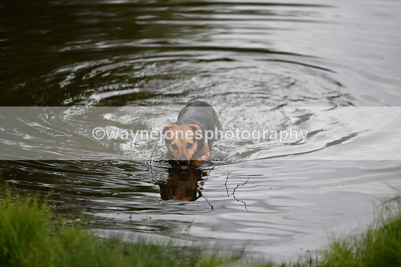 WJ5_5178 - Time 12:04 to 13:05